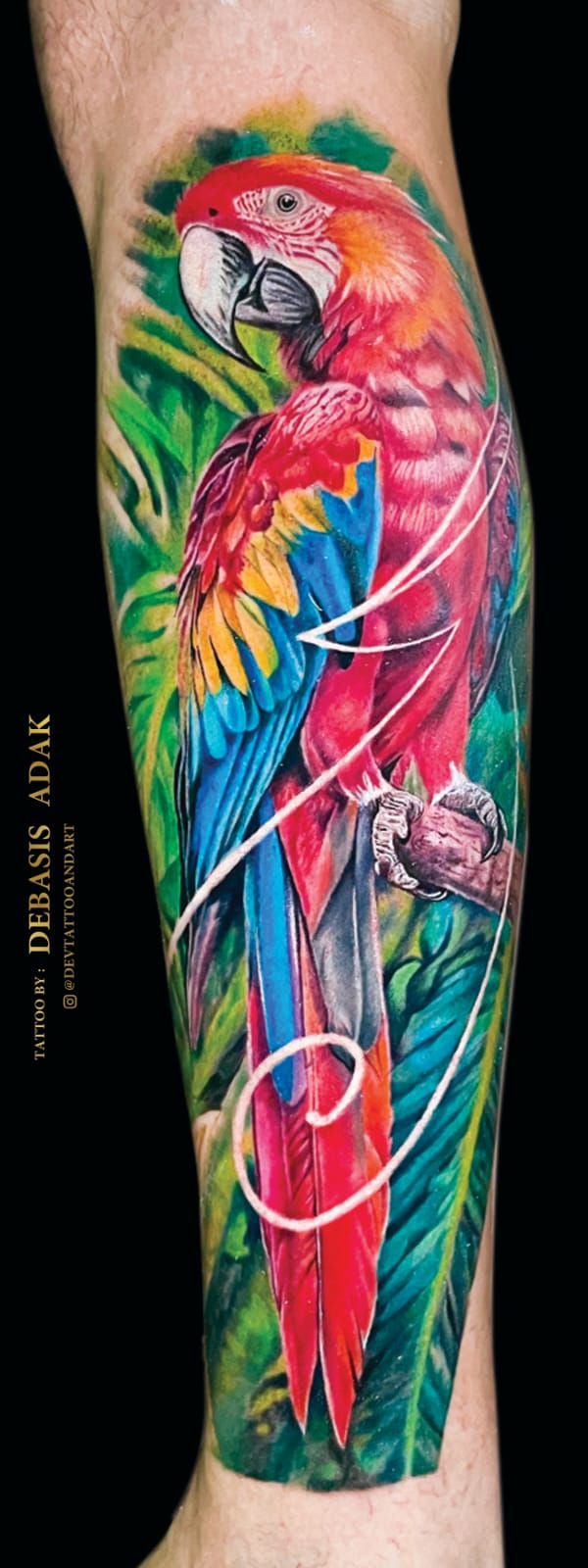 Full colour realism scarlet macaw parrot calf sleeve tattoo by Debasis Adak, Dev Tattoo & Art Kolkata
