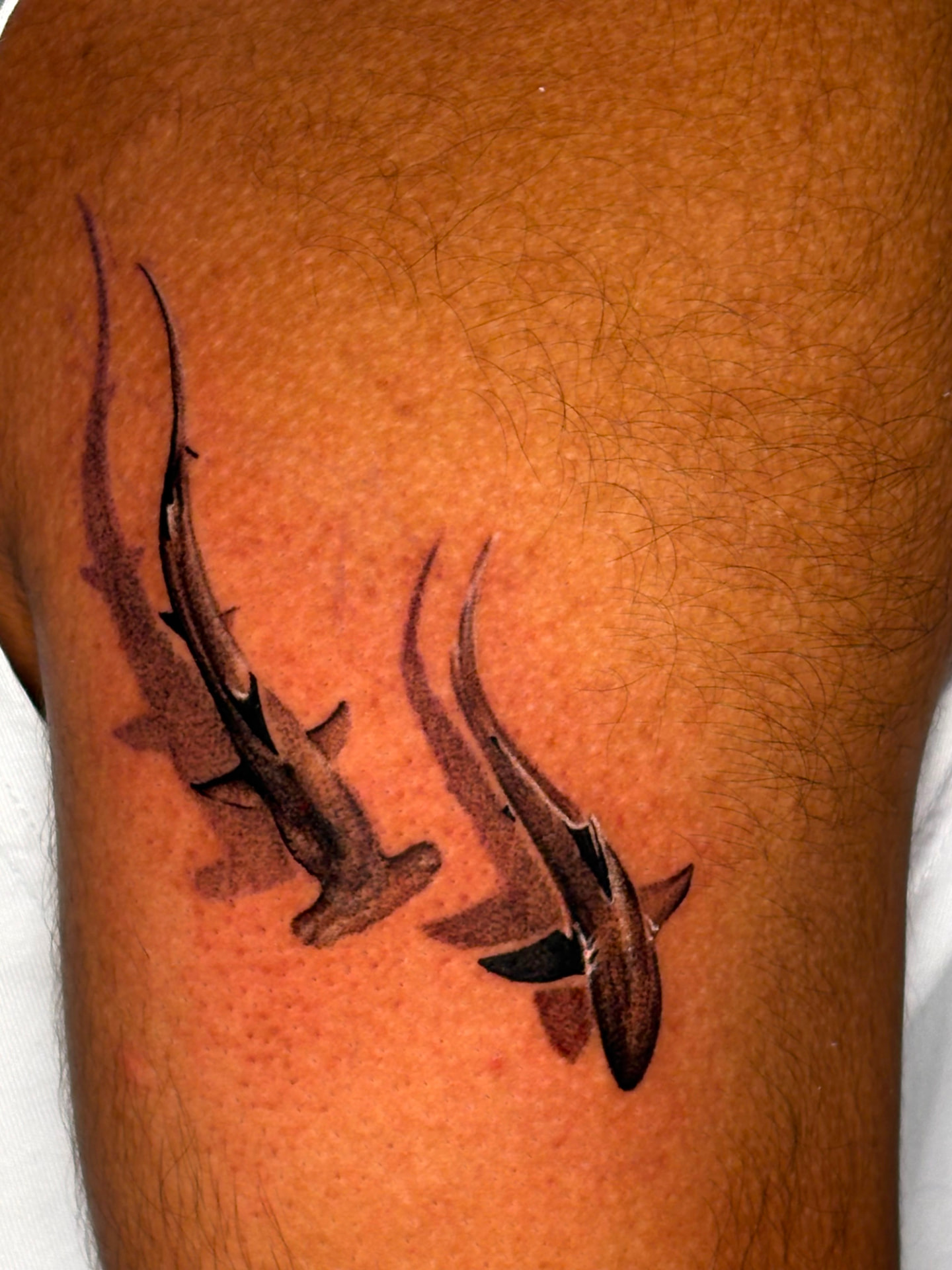Fine line dotwork hammerhead sharks arm tattoo, Dev Tattoo & Art Kolkata